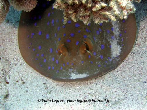 El Quseir 2006-03-29 10-08-09