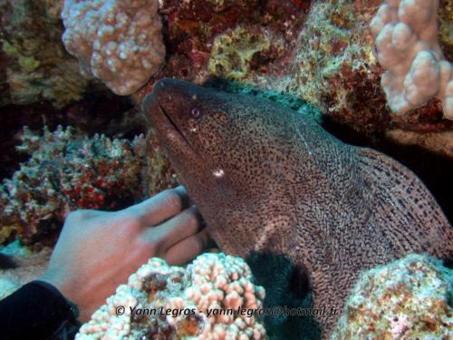 El Quseir 2006-03-29 12-40-19