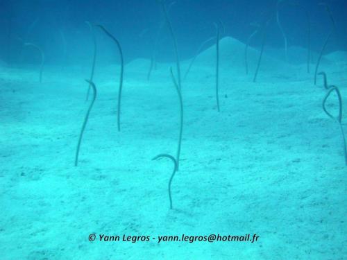 El Quseir 2006-03-29 12-53-02