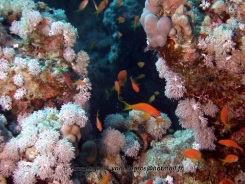 El Quseir 2006-03-29 12-58-19