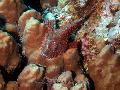 El Quseir 2006-03-29 13-08-17