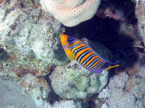 El Quseir 2006-03-29 13-24-14