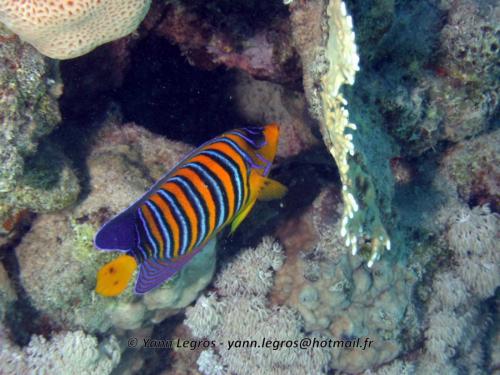 El Quseir 2006-03-29 13-24-28