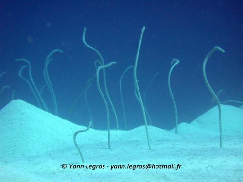 El Quseir 2006-03-29 13-27-18