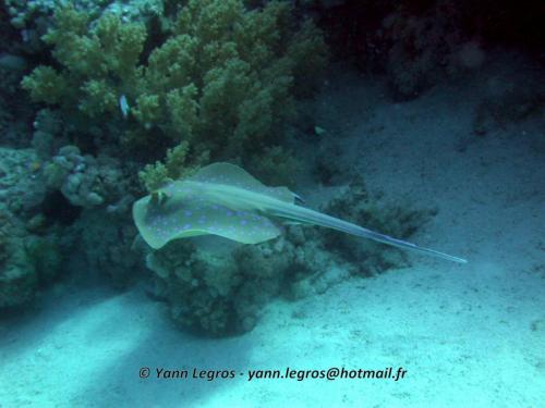 El Quseir 2006-03-29 13-30-32