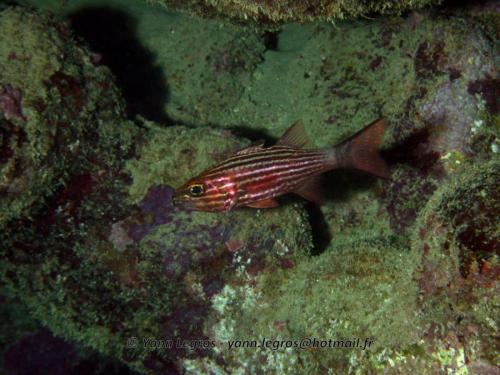 El Quseir 2006-03-30 08-25-25