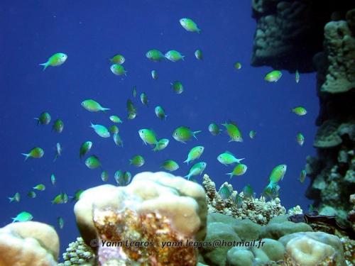 El Quseir 2006-03-30 08-27-32