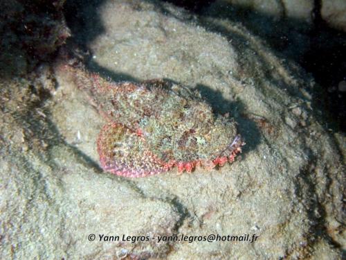 El Quseir 2006-03-30 08-28-00