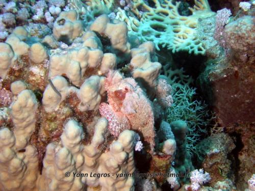 El Quseir 2006-03-30 08-34-25