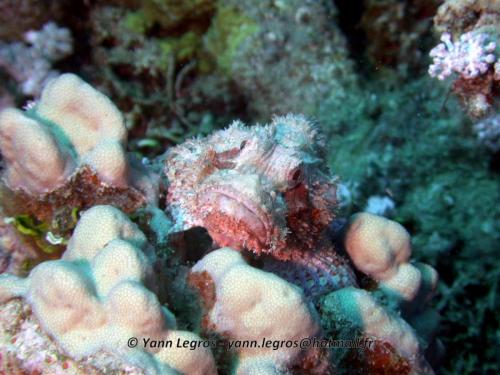 El Quseir 2006-03-30 08-36-09