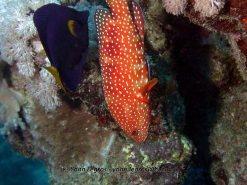 El Quseir 2006-03-30 08-57-38