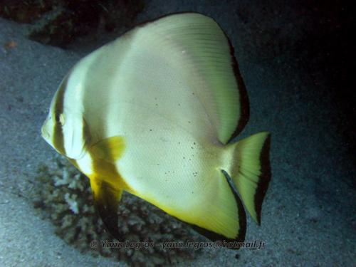 El Quseir 2006-03-30 09-25-04