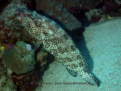 El Quseir 2006-03-30 14-25-23