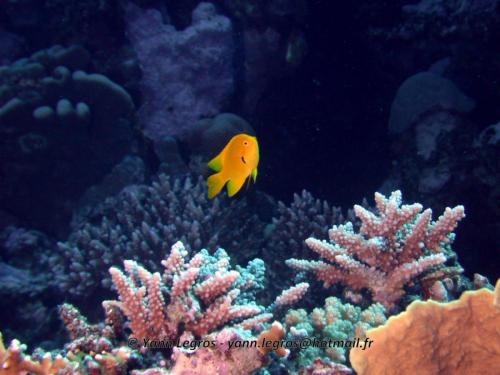 El Quseir 2006-03-30 14-33-53