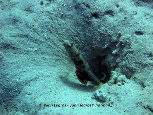 El Quseir 2006-03-30 14-55-07