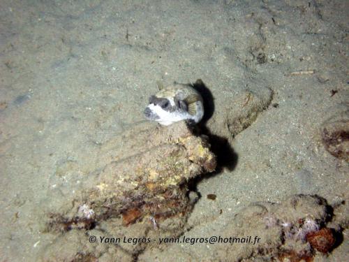 El Quseir 2006-03-30 18-01-01