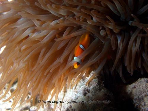 El Quseir 2006-03-30 18-04-00