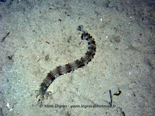 El Quseir 2006-03-30 18-07-57