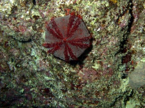 El Quseir 2006-03-30 18-22-19