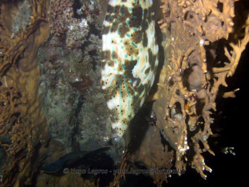 El Quseir 2006-03-30 18-42-02