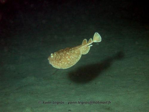 El Quseir 2006-03-30 18-43-24