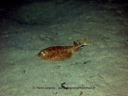 El Quseir 2006-03-30 18-43-34