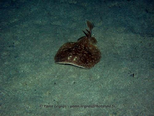 El Quseir 2006-03-30 18-43-50