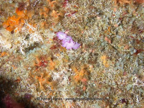 Les Goudes 2006-05-06 16-04-56