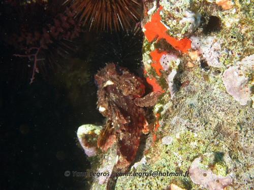 Les Goudes 2006-05-06 16-10-15