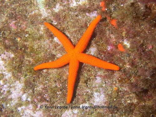 Les Goudes 2006-05-07 10-33-47