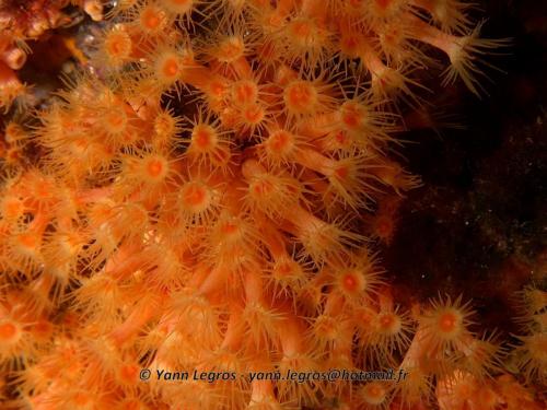 Les Goudes 2006-05-07 10-38-05