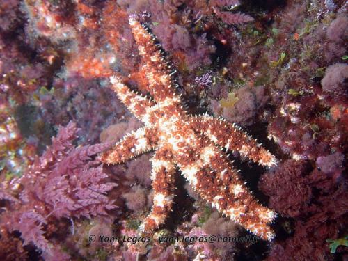 Les Goudes 2006-05-07 10-49-16