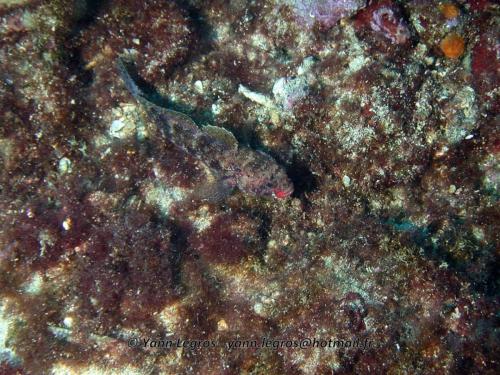 Les Goudes 2006-05-07 15-50-54