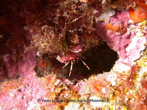 Les Goudes 2006-05-07 16-05-33