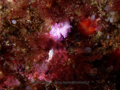 Les Goudes 2006-05-07 16-07-23