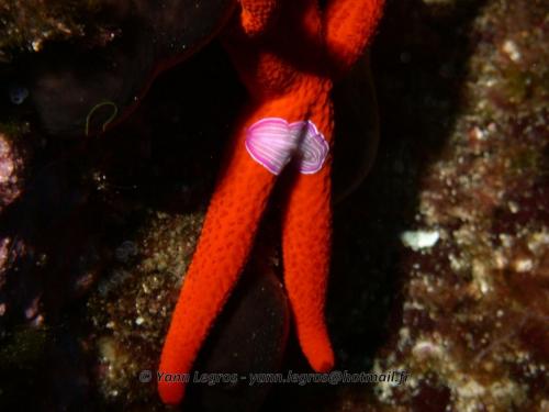 Les Goudes 2006-05-07 16-15-24