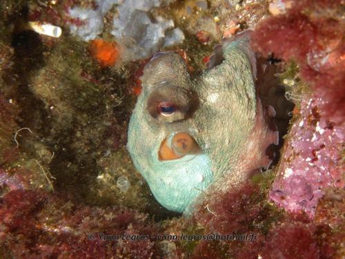 Les Goudes 2006-05-07 16-18-09