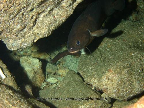 Les Goudes 2006-05-07 16-22-33