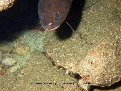 Les Goudes 2006-05-07 16-23-42