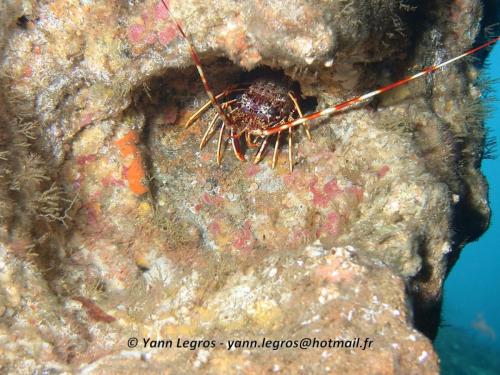 Les Goudes 2006-05-07 16-25-02