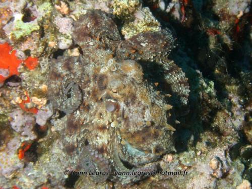 Les Goudes 2006-05-08 09-11-58