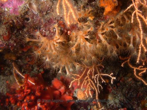 Les Goudes 2006-05-08 09-25-20