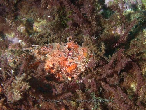 Les Goudes 2006-05-08 09-33-09