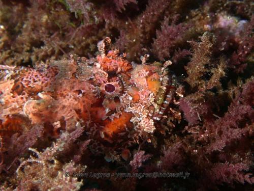 Les Goudes 2006-05-08 09-33-25