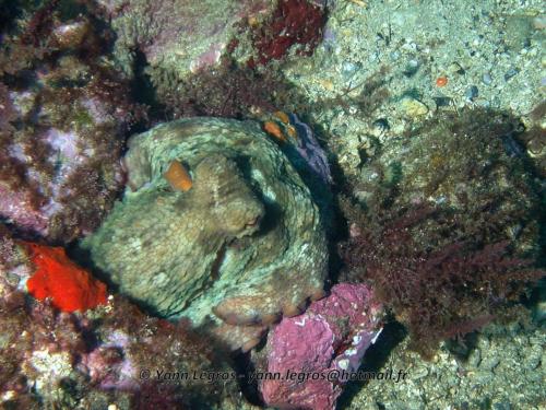 Les Goudes 2006-05-08 09-34-20