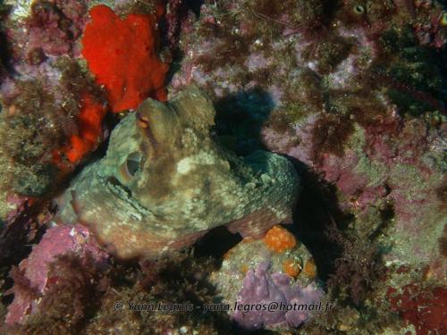 Les Goudes 2006-05-08 09-34-42