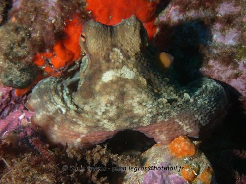 Les Goudes 2006-05-08 09-34-59