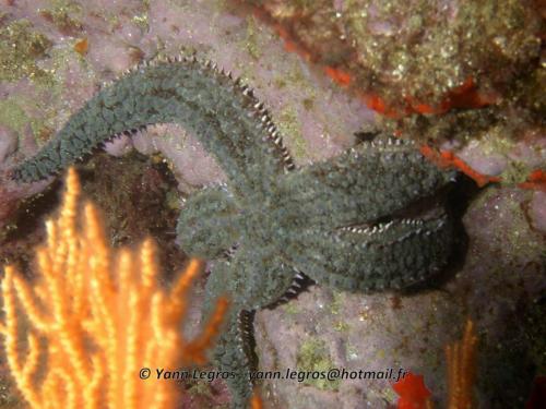 Les Goudes 2006-05-08 09-37-51