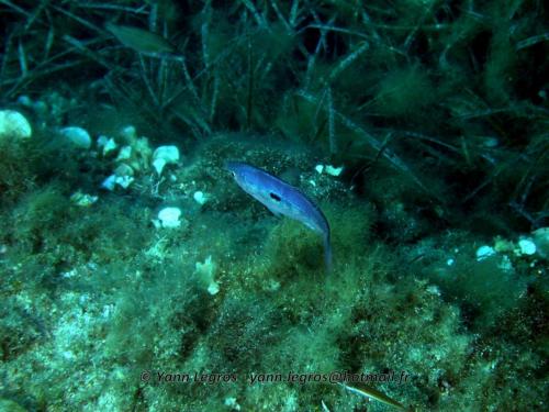 2006-08-08 10-07-40 01