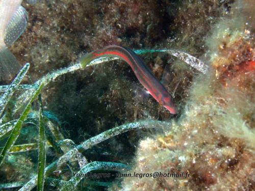 2006-08-08 10-11-08 01